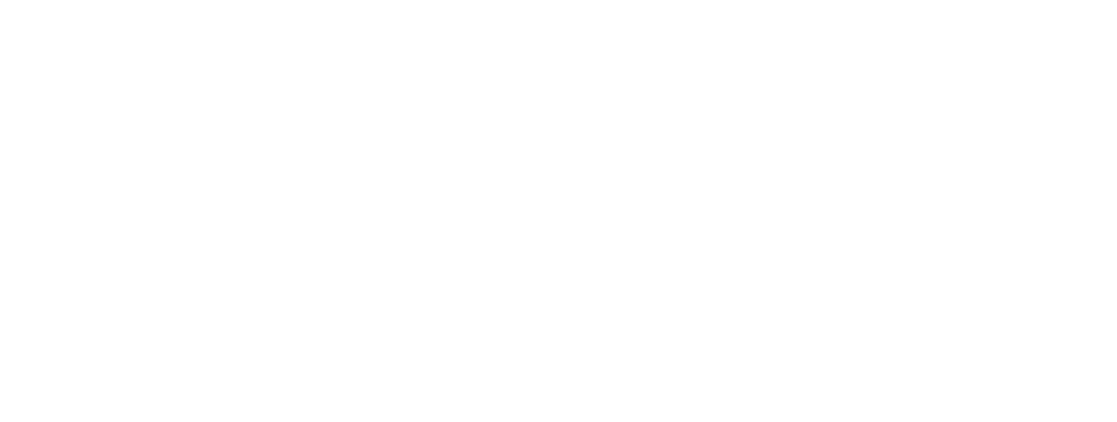 METZ CONNECT